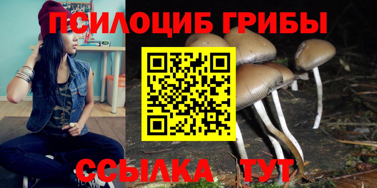 Галлюциногенные грибы ЛСД Кингисепп