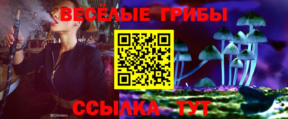 Кингисепп  цена   Вход с VPN  Псилоцибиновые грибы мухоморы 