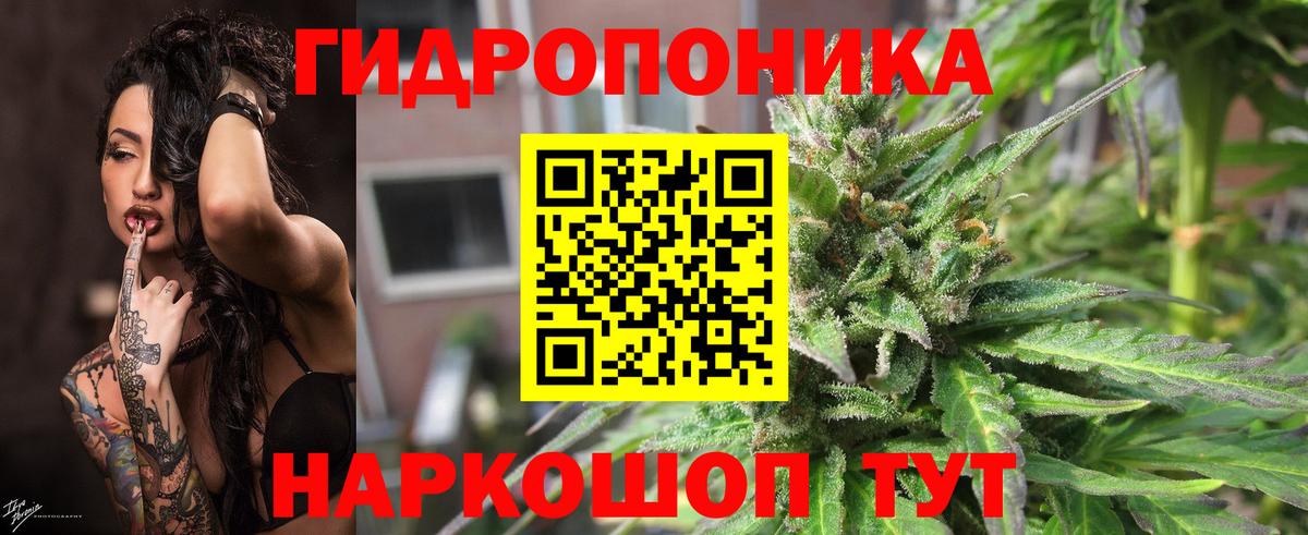 Канабис AK-47  МАРИХУАНА план  Кингисепп  Марихуана THC 21%  Вход с VPN 